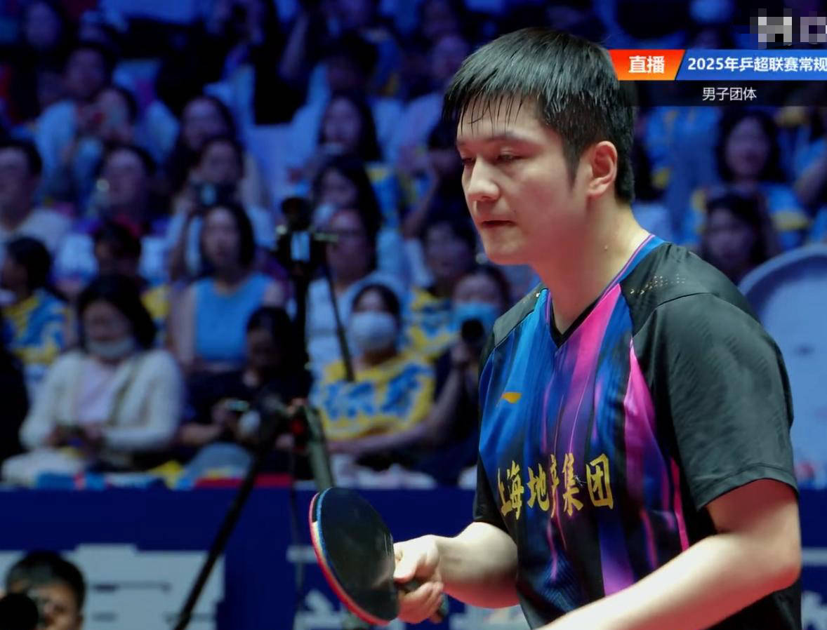樊振东12连胜,无人能敌!德甲前一战不败,王楚钦非对手
